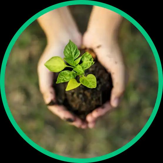 Bảo vệ môi trường