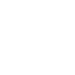 Vive